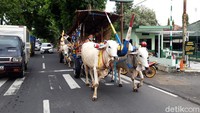 Tiga gerobak sapi melintas di jalan Solo-Semarang, Boyolali, Rabu (13/1/2021).  