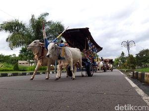 Bajingan Ternyata Nama Sebuah Profesi, Tapi Kenapa Sering Diucapkan sebagai Makian?