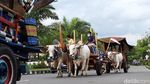 Asyiknya Jalan-jalan Sore Naik Gerobak Sapi