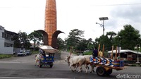 Namun KRIB ditutup akibat pandemi Corona, sehingga sapi-sapi dari Komunitas Peternak Sapi Logerit dibawa keliling di komplek kantor terpadu Pemkab Boyolali.