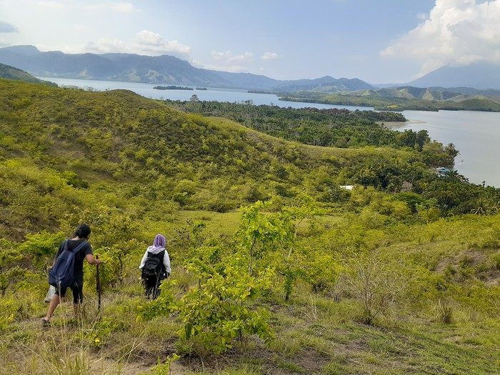Bukit Yomokho di Papua