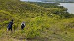 Foto: Di Bukit Cantik Ini, Manusia Prasejarah Pernah Hidup di Papua