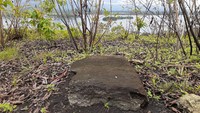 Kapak batu untuk menebang pohon sagu, alat batu untuk menokok sagu, dan gerabah digunakan sebagai wadah untuk mengolah sagu menjadi papeda. Sebagai sumber protein, mereka hidup berburu babi di hutan, mengkonsumsi ulat sagu, menangkap ikan dan mencari siput di Danau Sentani. (Hari Suroto/Istimewa)