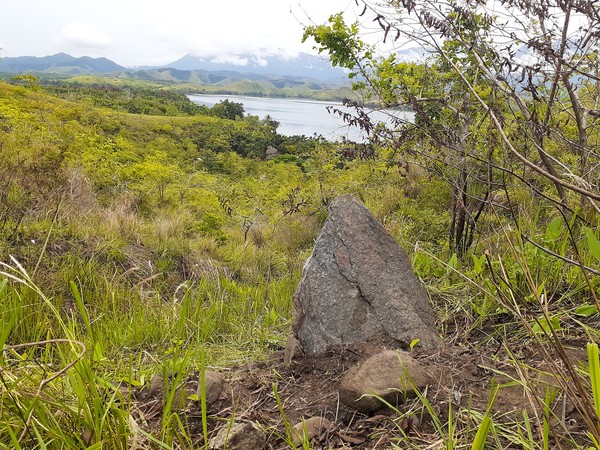 Penelitian Balai Arkeologi Papua di Bukit Yomokho berhasil menemukan hunian prasejarah. Jejak aktivitas manusia prasejarah di situs ini diketahui dari sisa makanan berupa cangkang siput danau, cangkang moluska laut, tulang, dan gigi babi. (Hari Suroto/Istimewa) Penelitian Balai Arkeologi Papua di Bukit Yomokho berhasil menemukan hunian prasejarah. Jejak aktivitas manusia prasejarah di situs ini diketahui dari sisa makanan berupa cangkang siput danau, cangkang moluska laut, tulang, dan gigi babi. (Hari Suroto/Istimewa)