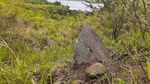 Foto: Di Bukit Cantik Ini, Manusia Prasejarah Pernah Hidup di Papua