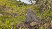 Penelitian Balai Arkeologi Papua di Bukit Yomokho berhasil menemukan hunian prasejarah. Jejak aktivitas manusia prasejarah di situs ini diketahui dari sisa makanan berupa cangkang siput danau, cangkang moluska laut, tulang, dan gigi babi.  (Hari Suroto/Istimewa)