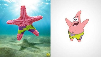 Patrick Star dari karakter animasi SpongeBob SquarePants. Foto: Brightside/Dito Von Tease