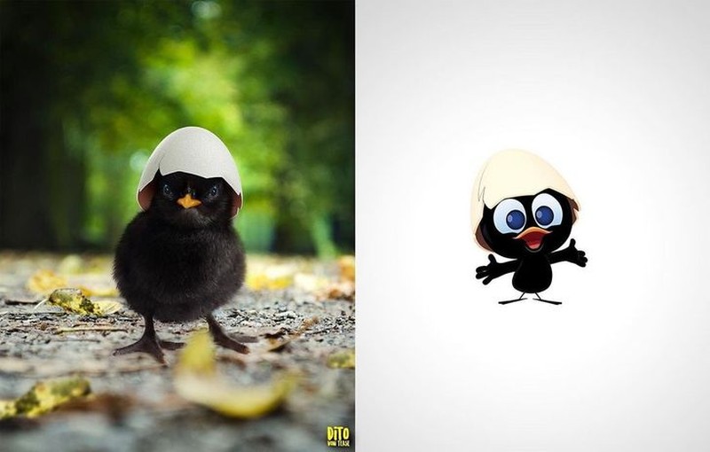 fotoinet Dito Von Tease