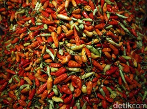 Harga Cabai Naik Gila-gilaan, Kementan Bilang Ini Penyebabnya