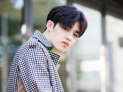 Idol KPop Trainee Terlama S.Coups