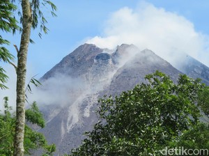 Daerah Bahaya Erupsi Merapi Berubah, Bagaimana Nasib Pengungsi?