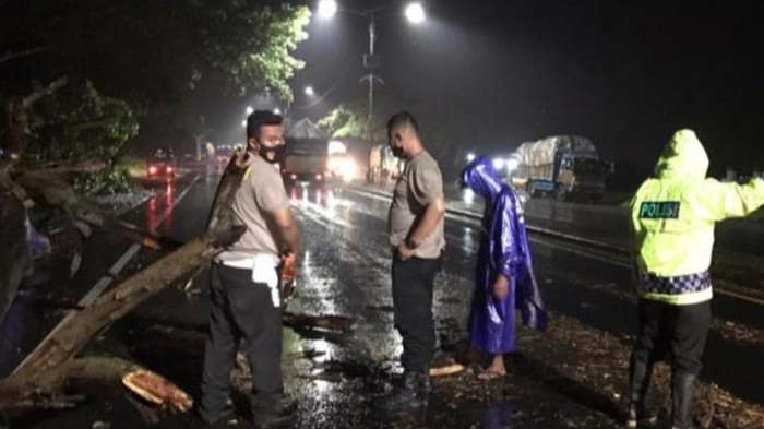 Polisi evakuasi pohon tumbang di Jalingkut Pantura, Pemalang, Rabu (13/1/2021).