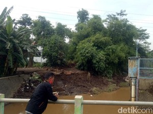 Cerita soal Ular Sanca Pemberi Kabar Banjir di Pasuruan