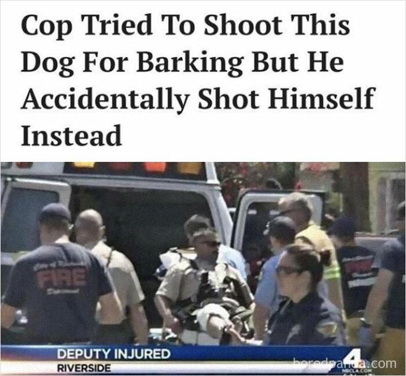 Apa yang kamu tabur maka itu yang akan kamu tuai. Berikut ini adalah momen karma yang dibayar instan.