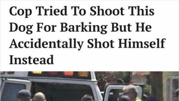 Berniat jahat kepada hewan, langsung dibalas oleh Tuhan. Foto: via Bored Panda