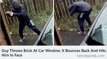 Perampok mobil ini mendapatkan instant karma atas perbuatannya. Foto: via Bored Panda