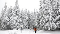 Seorang pemain ski berjalan diantara pepohonan cemara yang tertutupi salju. AP Photo/Matthias Schrader  