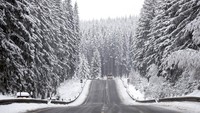 Sebuah mobil melintas di jalan dengan pemandangan pepohonan cemara berselimut salju di Oberhof, Jerman. AP Photo/Matthias Schrader  
