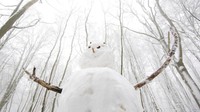 Manusia salju berdiri di hutan Nienstedt, Jerman. Julian Stratenschulte/dpa via AP  