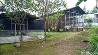 Burung langka yang diamankan polisi dan petugas gabungan antara lain 53 ekor Kakatua Maluku/Merah (Cacatua moluccensis), 22 ekor Kakatua Jambul Kuning (Cacatua Sulphurea), 12 ekor Kakatua Putih, 4 ekor Kakatua Tanimbar, 38 ekor Kakatua Koki, 47 ekor Nuri Bayan, 5 ekor Kasturi Kepala Hitam dan 3 ekor Gelatik Jawa.