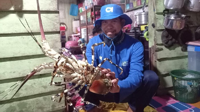 Aplikasi Aruna untuk Nelayan Jualan Ikan Online