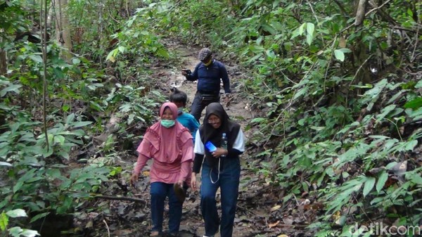 Lokasi Gua Kelelawar berjarak lebih kurang 30 km dari pusat Pemerintahan Kabupaten Kutai Kartanegara yakni di Kecamatan Tenggarong. Sebagian gua tersebut berada di puncak Bukit Desa Sedulang. Butuh trekking untuk menuju ke sini. (Suriyatman/detikTravel) Lokasi Gua Kelelawar berjarak lebih kurang 30 km dari pusat Pemerintahan Kabupaten Kutai Kartanegara yakni di Kecamatan Tenggarong. Sebagian gua tersebut berada di puncak Bukit Desa Sedulang. Butuh trekking untuk menuju ke sini. (Suriyatman/detikTravel)