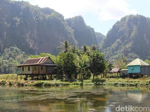 Lukisan Gua Tertua di Dunia Ditemukan di Sulsel, Umurnya 45 Ribu Tahun!