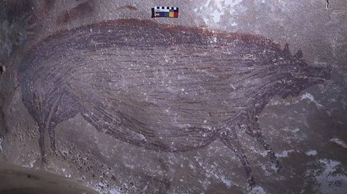 Lukisan babi kutil di gua tertua di dunia yang ditemukan di Sulawesi Selatan. (Foto: Tangkapan Layar web advances.sciencemag.org)