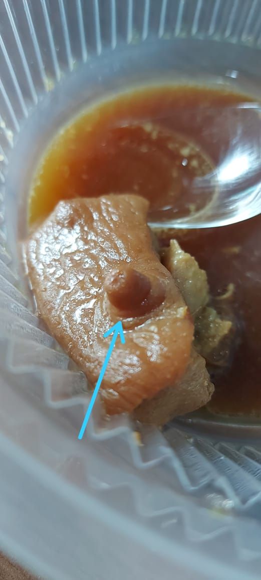 Pesan Babi Kecap via Ojol, Orang Ini Kaget Temukan Puting Babi
