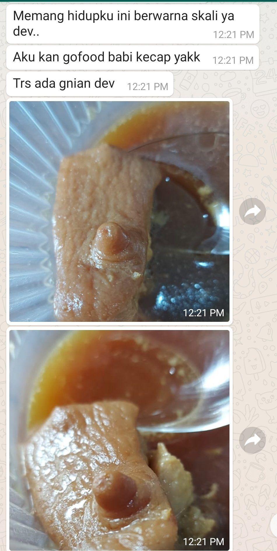 Pesan Babi Kecap via Ojol, Orang Ini Kaget Temukan Puting Babi