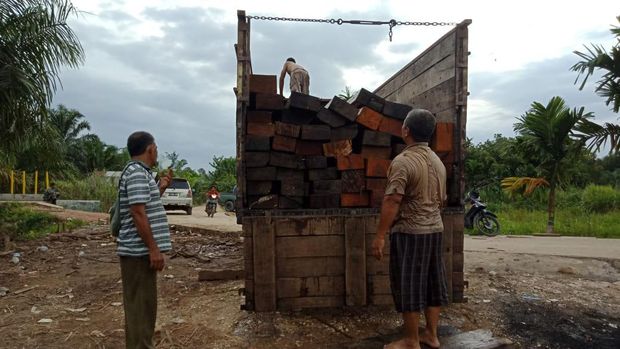 Petugas Polisi Kehutanan (Polhut) Jambi mengamankan sebanyak 51 batang kayu campuran dari kawasan Kumpe Kabupaten Muaro Jambi, Jambi (dok istimewa)