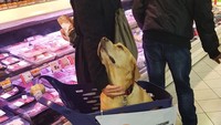 Di Italia ada grosir yang menyediakan keranjang khusus hewan peliharaan. (dok Bored Panda)