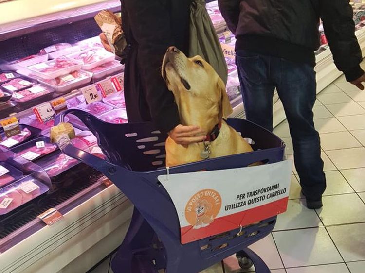 Potret Solusi dari Masalah Sehari-hari, Simpel tapi Berguna (2)