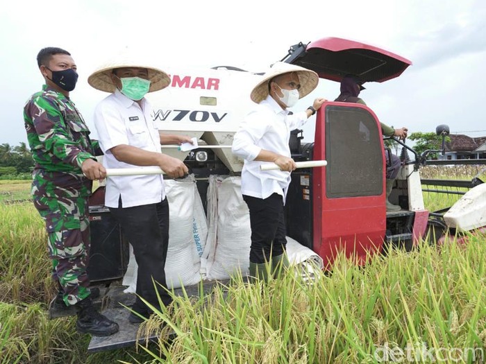 Bupati Anas sebut Kinerja Pertanian Padi Banyuwangi Lampaui Target