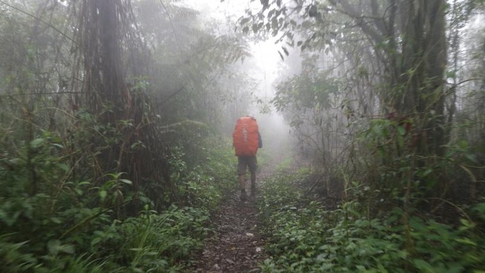 Gunung Argopuro