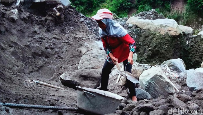 Merapi Siaga, Penambang Pasir di Klaten Tetap Bekerja Status Gunung Merapi masih Siaga. Namun hal itu tidak menyurutkan para penambang pasir di Desa Sidorejo, Kecamatan Kemalang, Klaten, untuk bekerja.