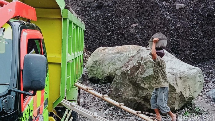 Merapi Siaga, Penambang Pasir di Klaten Tetap Bekerja Status Gunung Merapi masih Siaga. Namun hal itu tidak menyurutkan para penambang pasir di Desa Sidorejo, Kecamatan Kemalang, Klaten, untuk bekerja.