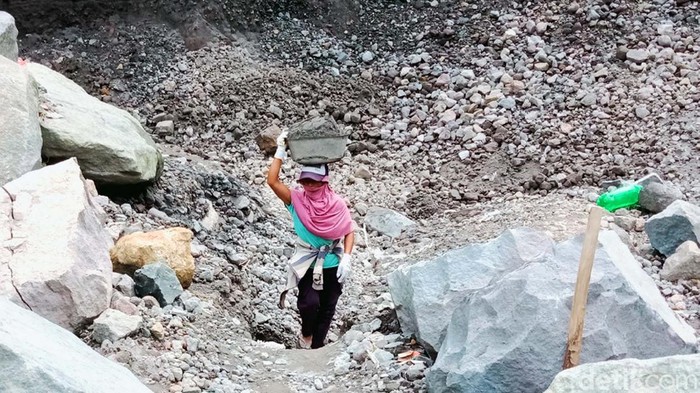 Merapi Siaga, Penambang Pasir di Klaten Tetap Bekerja Status Gunung Merapi masih Siaga. Namun hal itu tidak menyurutkan para penambang pasir di Desa Sidorejo, Kecamatan Kemalang, Klaten, untuk bekerja.