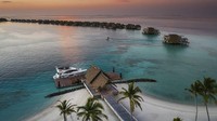 Tak hanya stay di penginapan dan berkeliling dengan perahu, wisatawan juga bisa diving sampai naik kapal pesiar. (CNN)