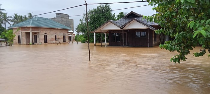 Sebanyak 21.990 jiwa dan 6.346 unit rumah di Tanah Laut, Kalsel, terendam banjir (dok BNPB)