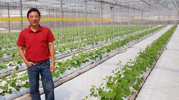 Jadi Petani, Eks Bos Disc Tarra Cerita Kisah Sukses Tanam Sayur