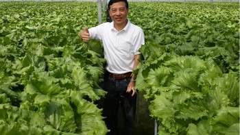 Perjalanan Eks Bos Disc Tarra: Tutup Bisnis, PHK hingga Jadi Petani Sayur