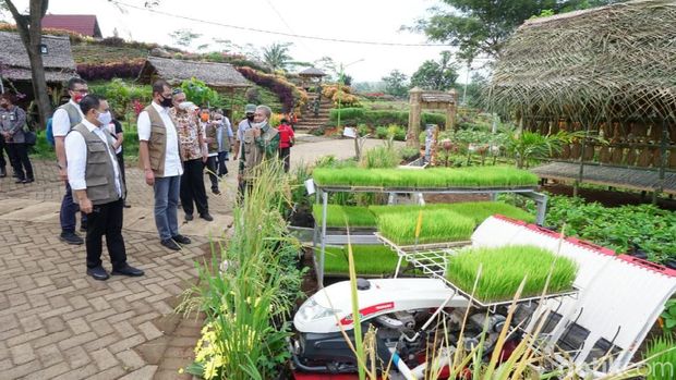 Agrowisata Tamansuruh di Banyuwangi