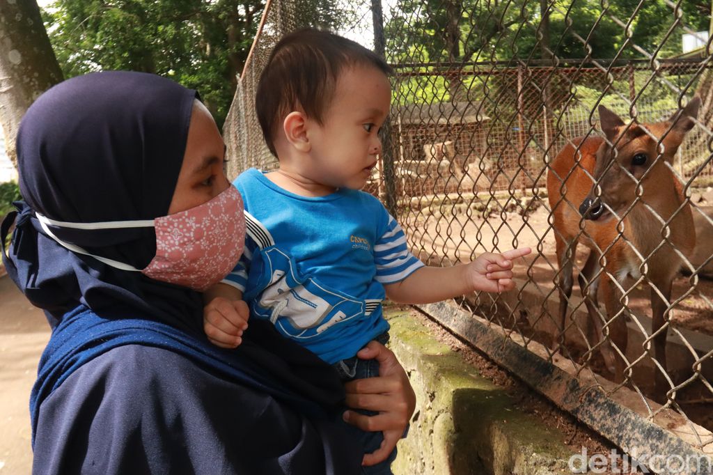 Bandung Zoo