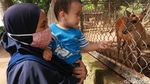 Melihat Koleksi Satwa di Bandung Zoo