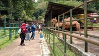 Di masa pandemi ini, pemesanan tiket pun dilakukan secara online. (Wisma Putra/detikcom)