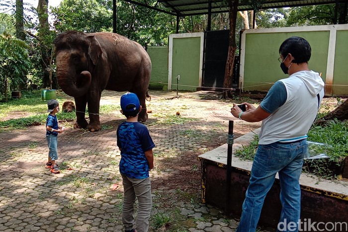 Bandung Zoo