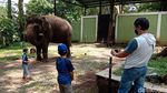 Melihat Koleksi Satwa di Bandung Zoo