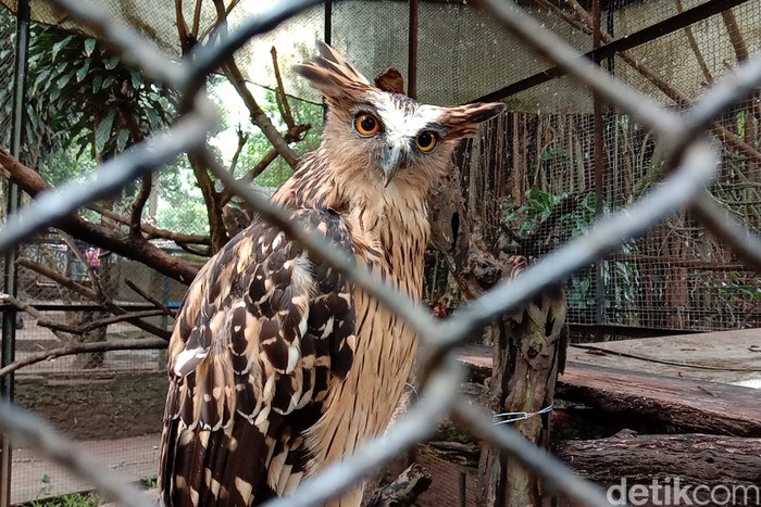 Bandung Zoo