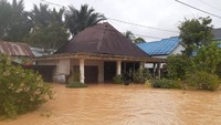 Di Kabupaten Tanah Laut dilaporkan hampir 22 ribu warga mengungsi ke tempat aman akibat rumah terdampak banjir. Tinggi banjir di Kabupaten tersebut pada Jumat (15/1/2021) siang dilaporkan mencapai 150-200 cm.